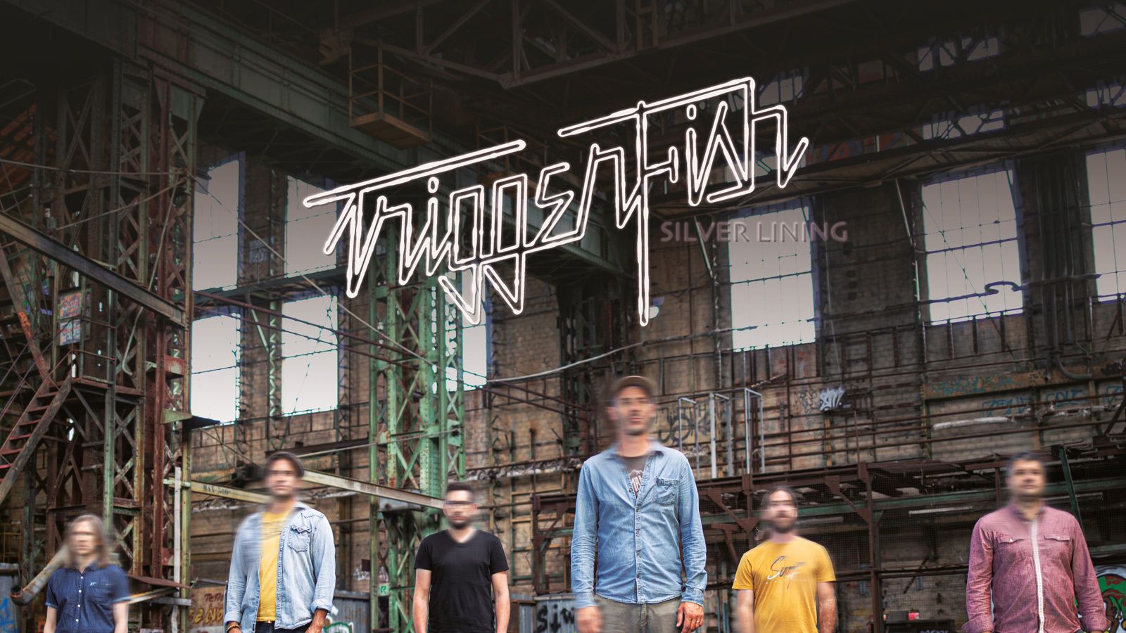 Triggerfish