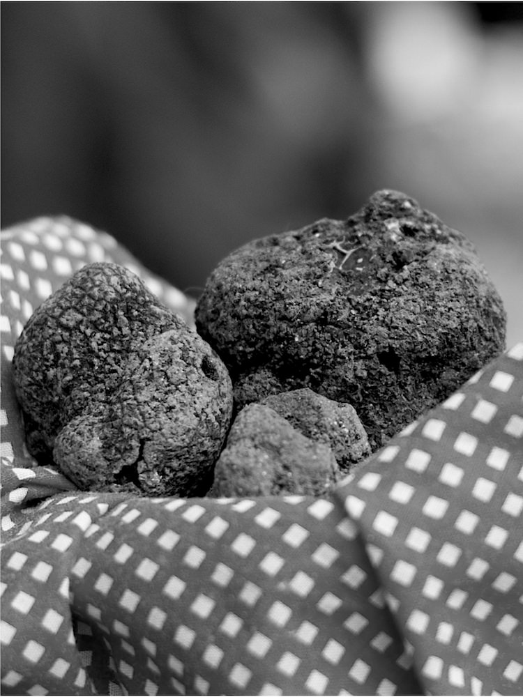 Marché de la truffe