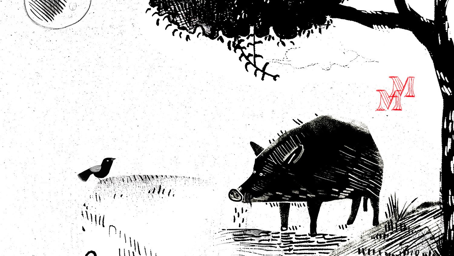 Si la forêt m'était contée