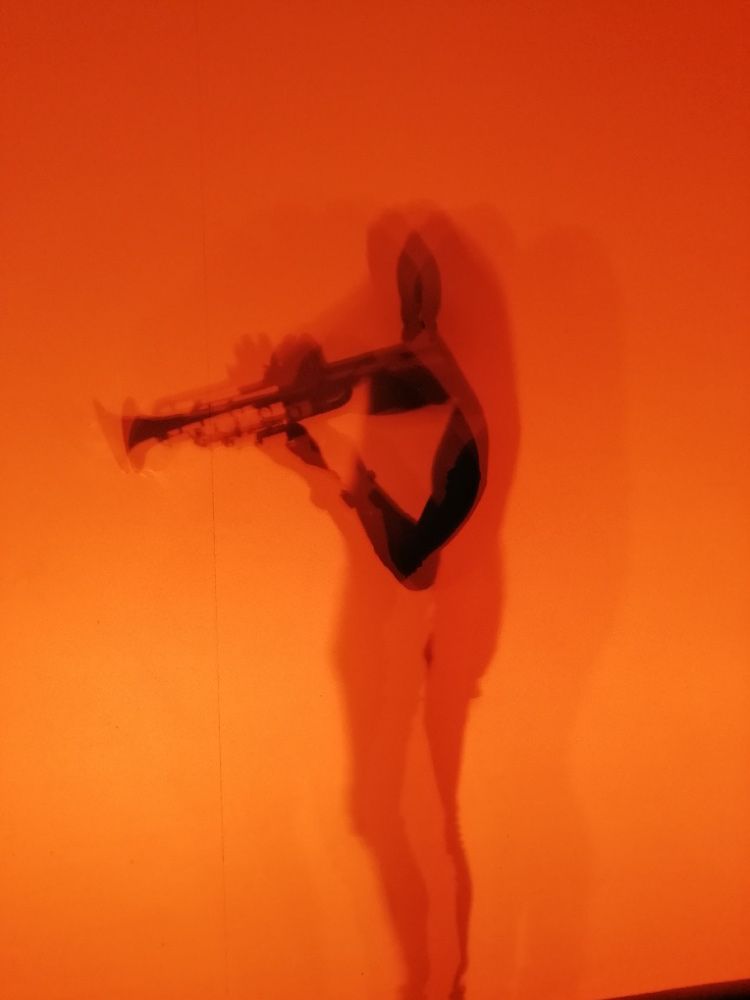 GROOVOLOGY