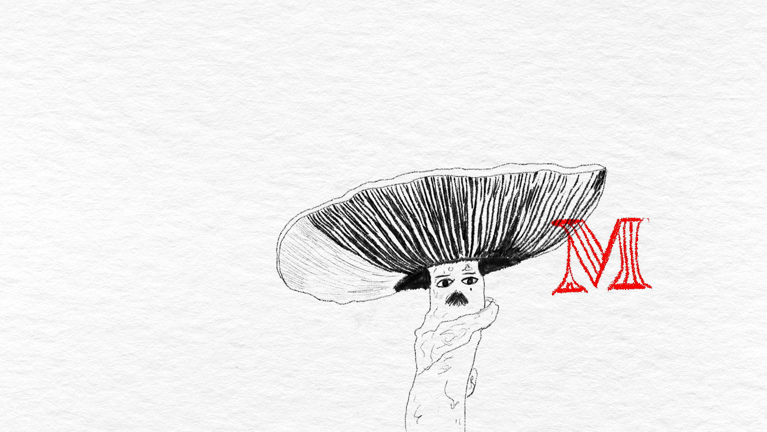 Dans les secrets des champignons
