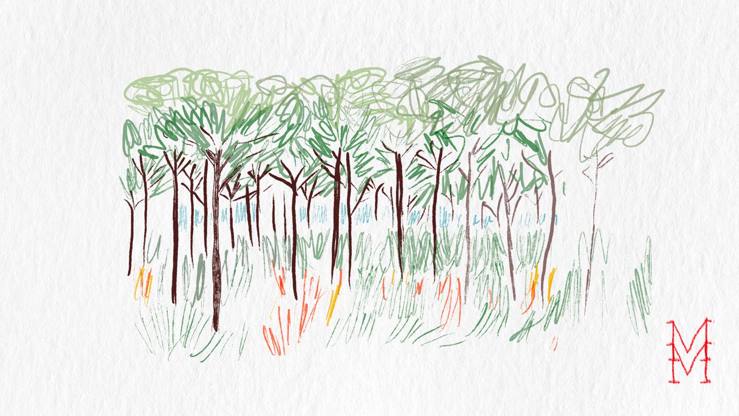 La forêt est l'avenir de l'homme