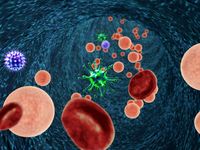 Et si les maladies neurologiques et la dépression se fabriquaient dans votre intestin? 1ère partie