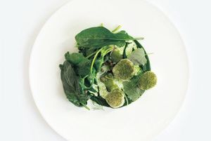Scallop and green vegetables, cabbage powder